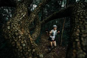 BIB: 
                            <button type="button" onclick="openModal(25699490)" class="btn btn-primary btn-sm float-right btn-popup" data-toggle="modal" data-target=".modal-high-quality">
                        <i class="fas fa-shopping-cart"></i> Add to Cart
                    </button>
                                            <button type="button" onclick="isThisMe(25699490, true)" class="btn btn-success btn-sm float-right btn-popup btn-isme hidden" data-toggle="tooltip" data-placement="bottom" title="นี่คือรูปของคุณใช่ไหม คลิกที่นี่เพื่อเอาเข้าอัลบั้ม">
                        <i class="fas fa-plus"></i> Add to album
                    </button>
                    <button type="button" onclick="isThisMe(25699490, false)" class="btn btn-warning btn-sm float-right btn-popup btn-isnotme hidden">
                        <i class="fas fa-ban"></i> Remove from album
                    </button>